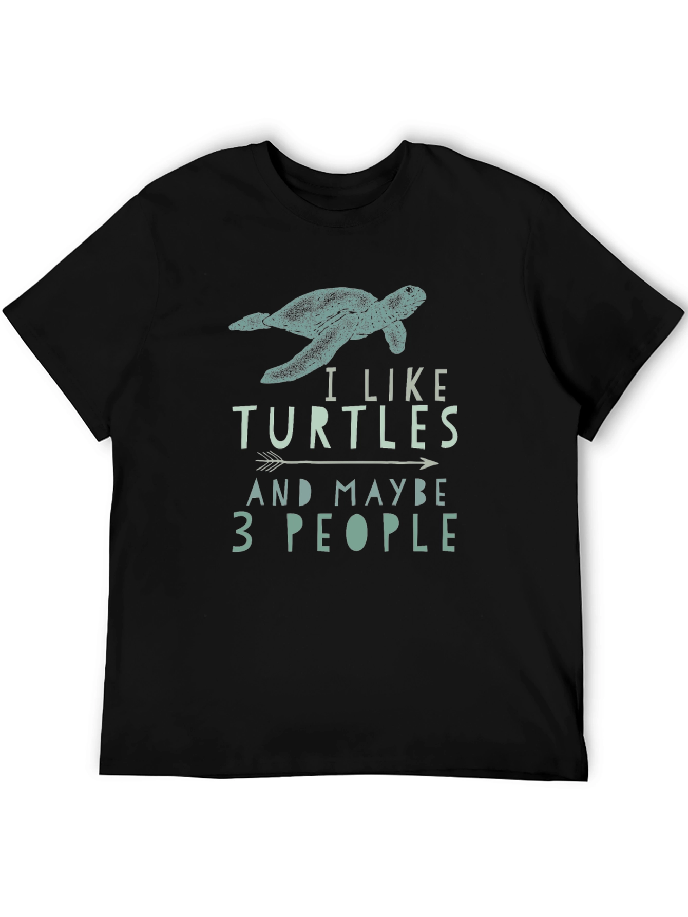 I Like Turtles and Maybe 3 People T-Shirt