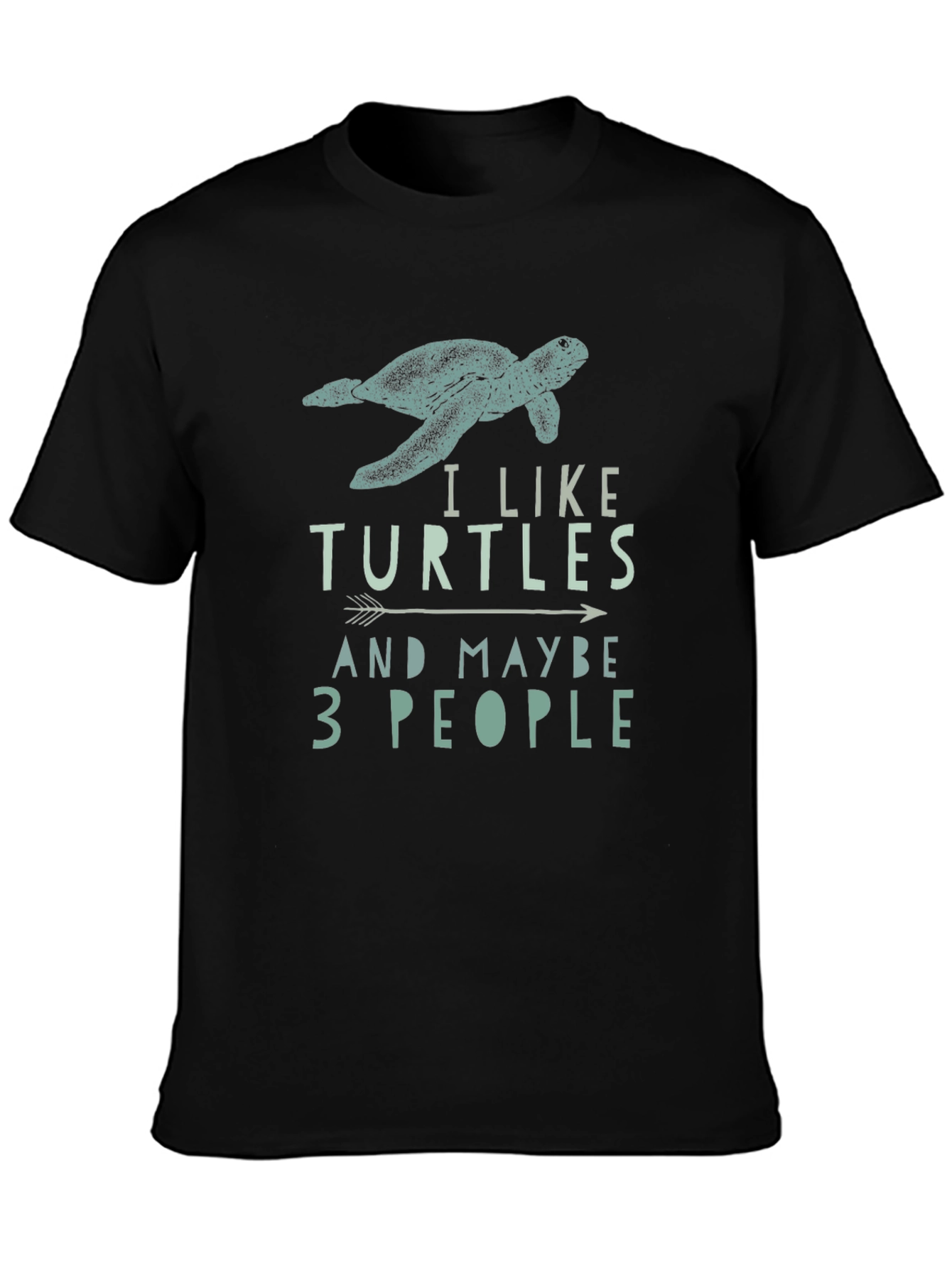 I Like Turtles and Maybe 3 People T-Shirt