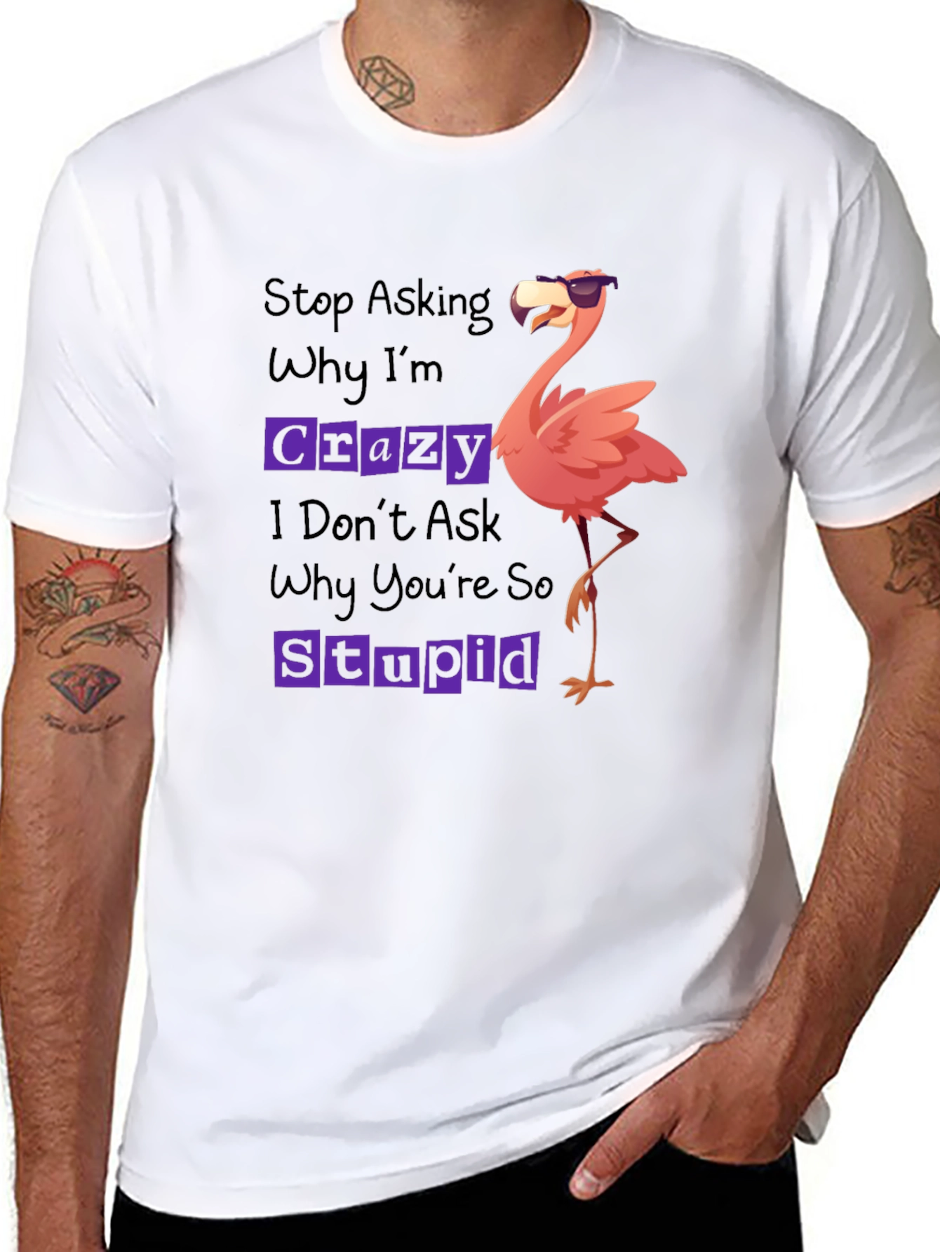 Funny Flamingo Graphic T-Shirt: Stop Asking Crazy