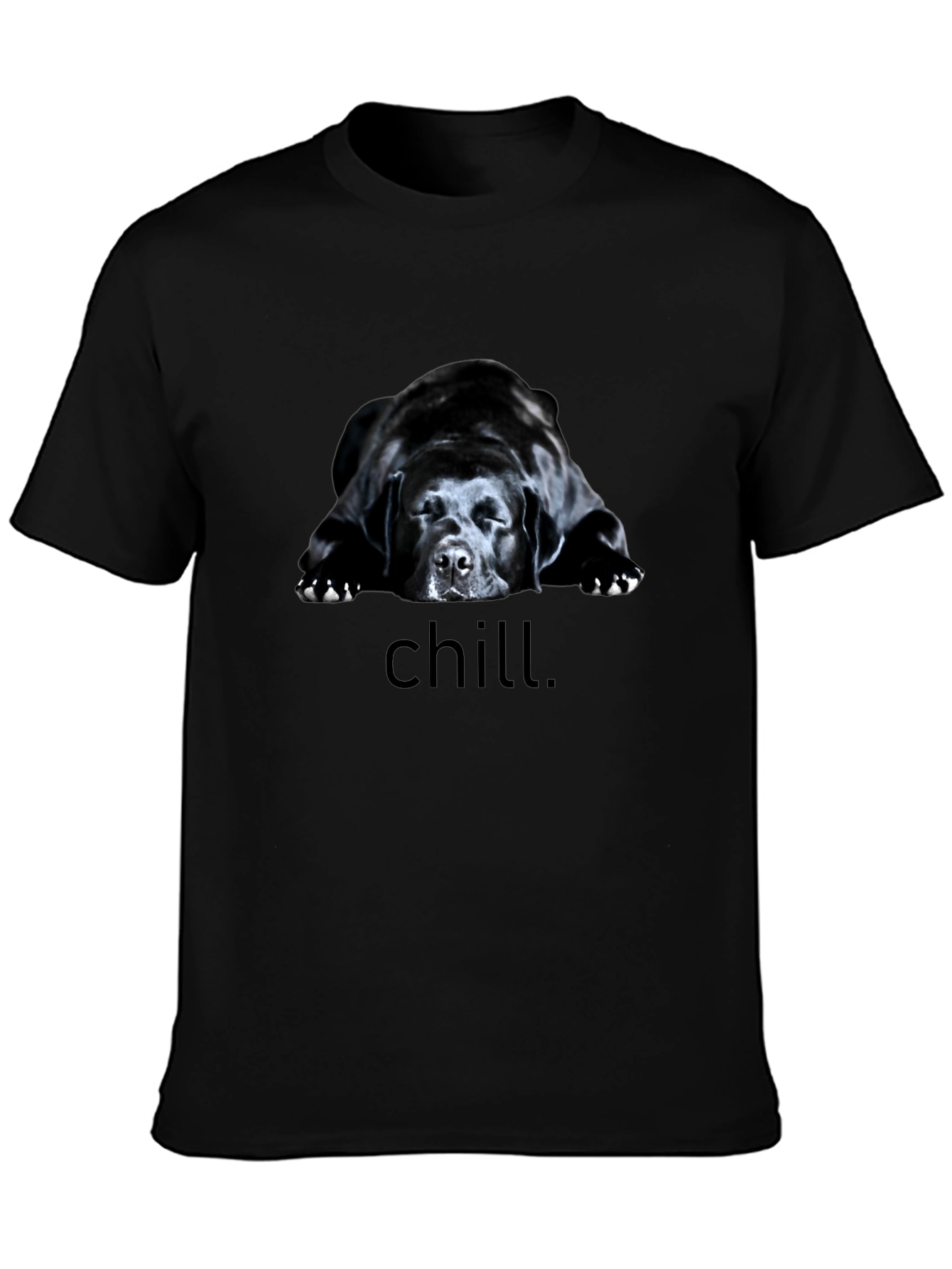 Chill Dog Graphic Tee - Black Relaxed Fit T-Shirt