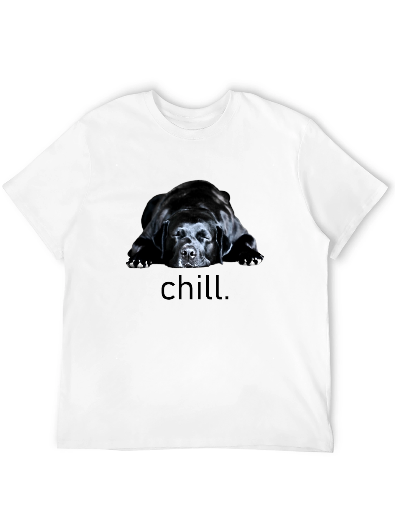 Chill Dog Graphic Tee - Black Relaxed Fit T-Shirt