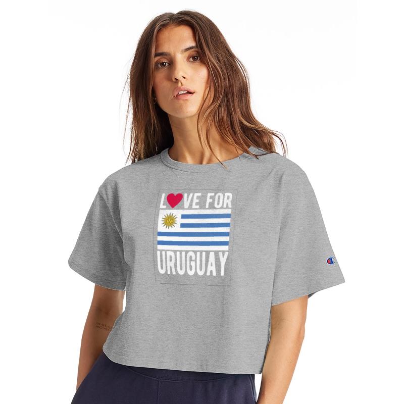 Uruguay Flag