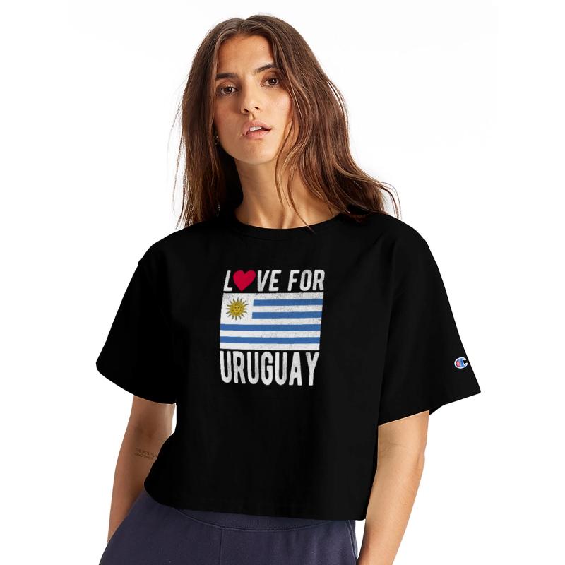 Uruguay Flag