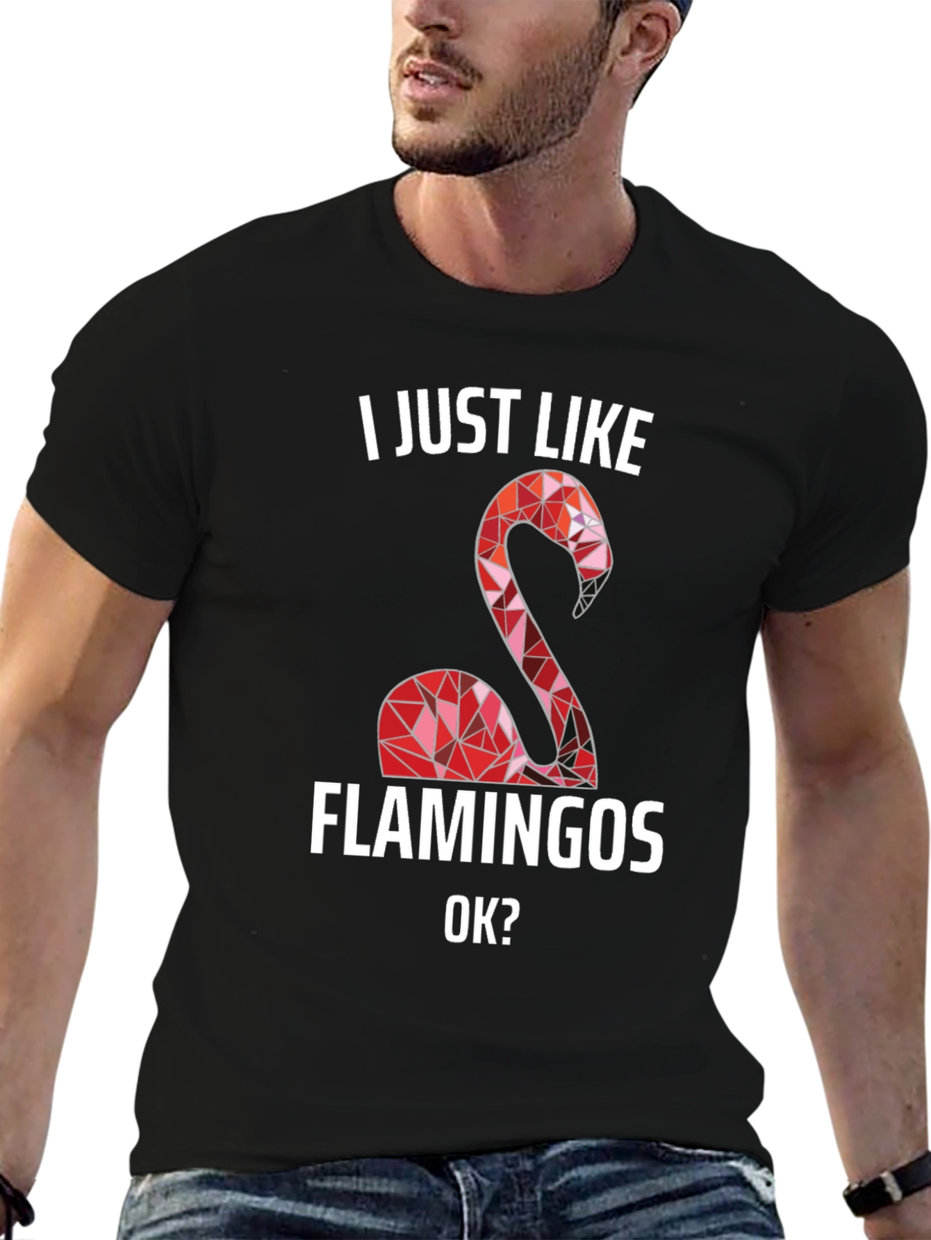 I Just Like Flamingos T-Shirt