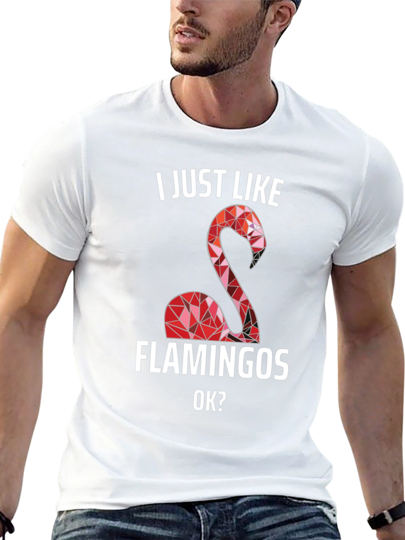 I Just Like Flamingos T-Shirt