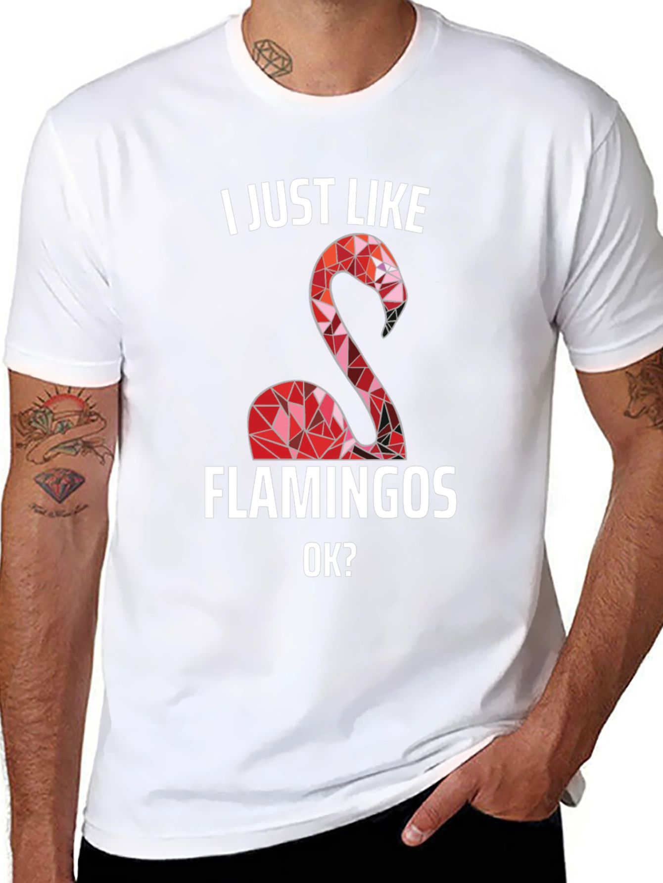 I Just Like Flamingos T-Shirt