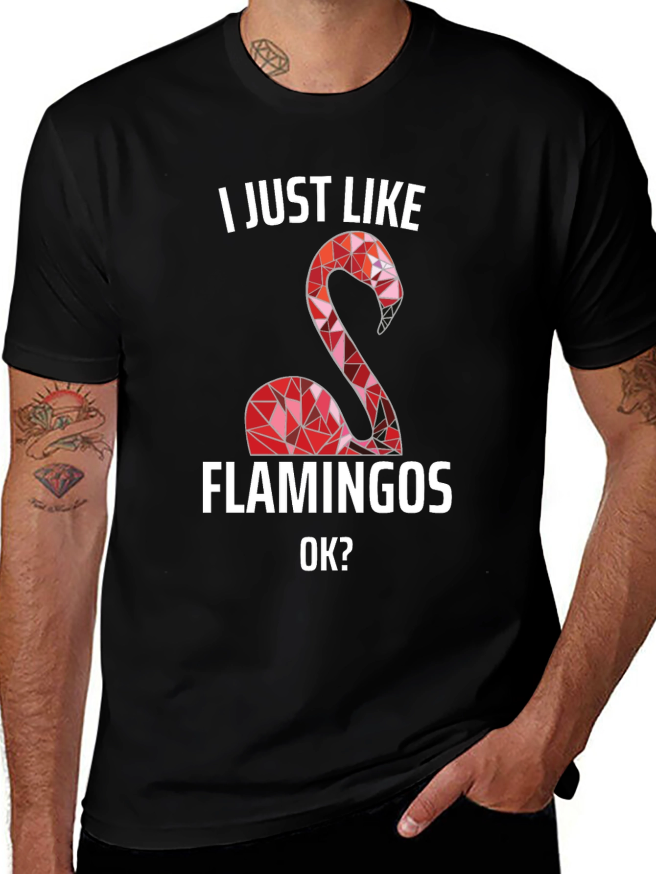 I Just Like Flamingos T-Shirt