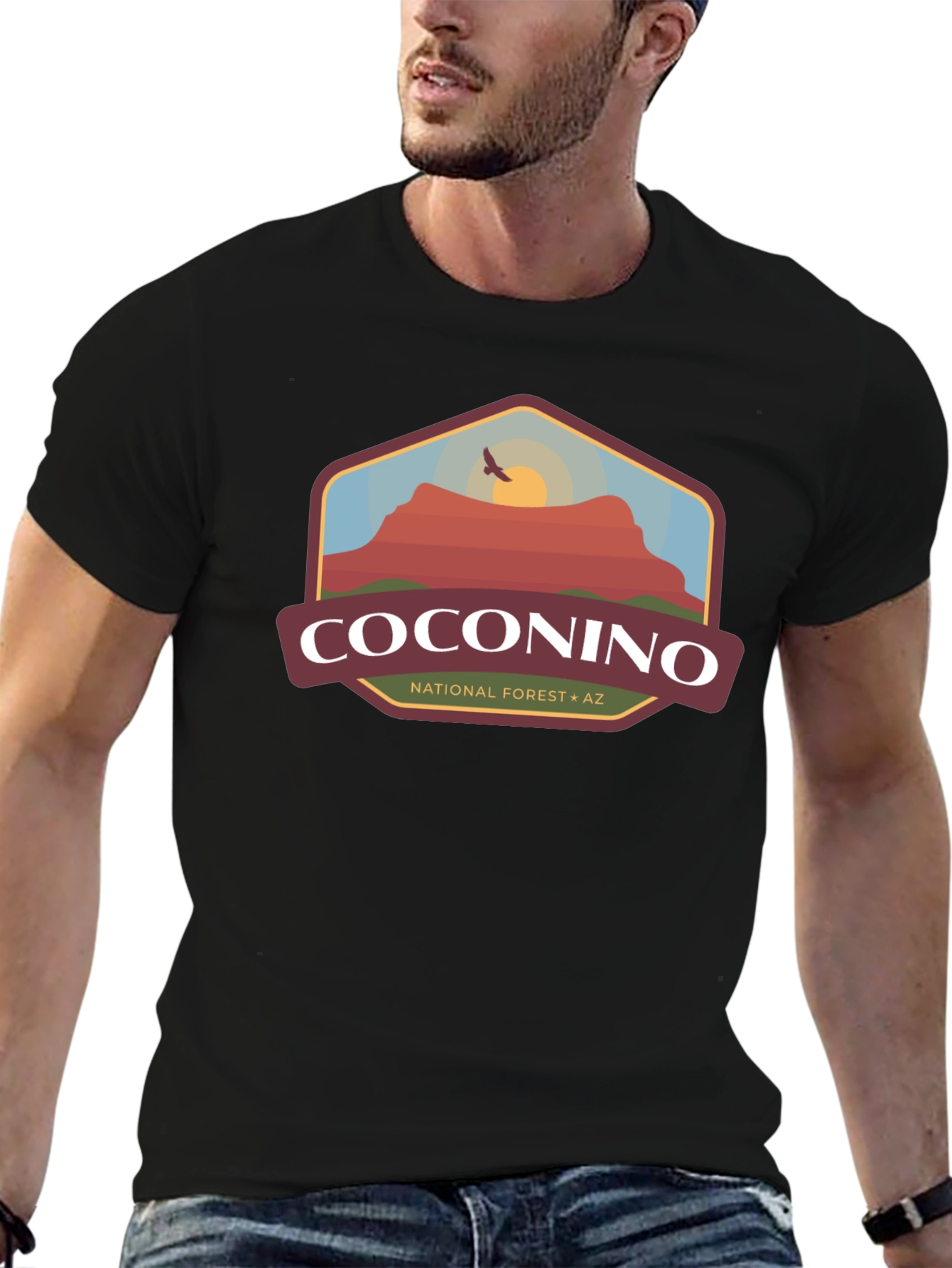 Coconino National Forest Graphic Tee