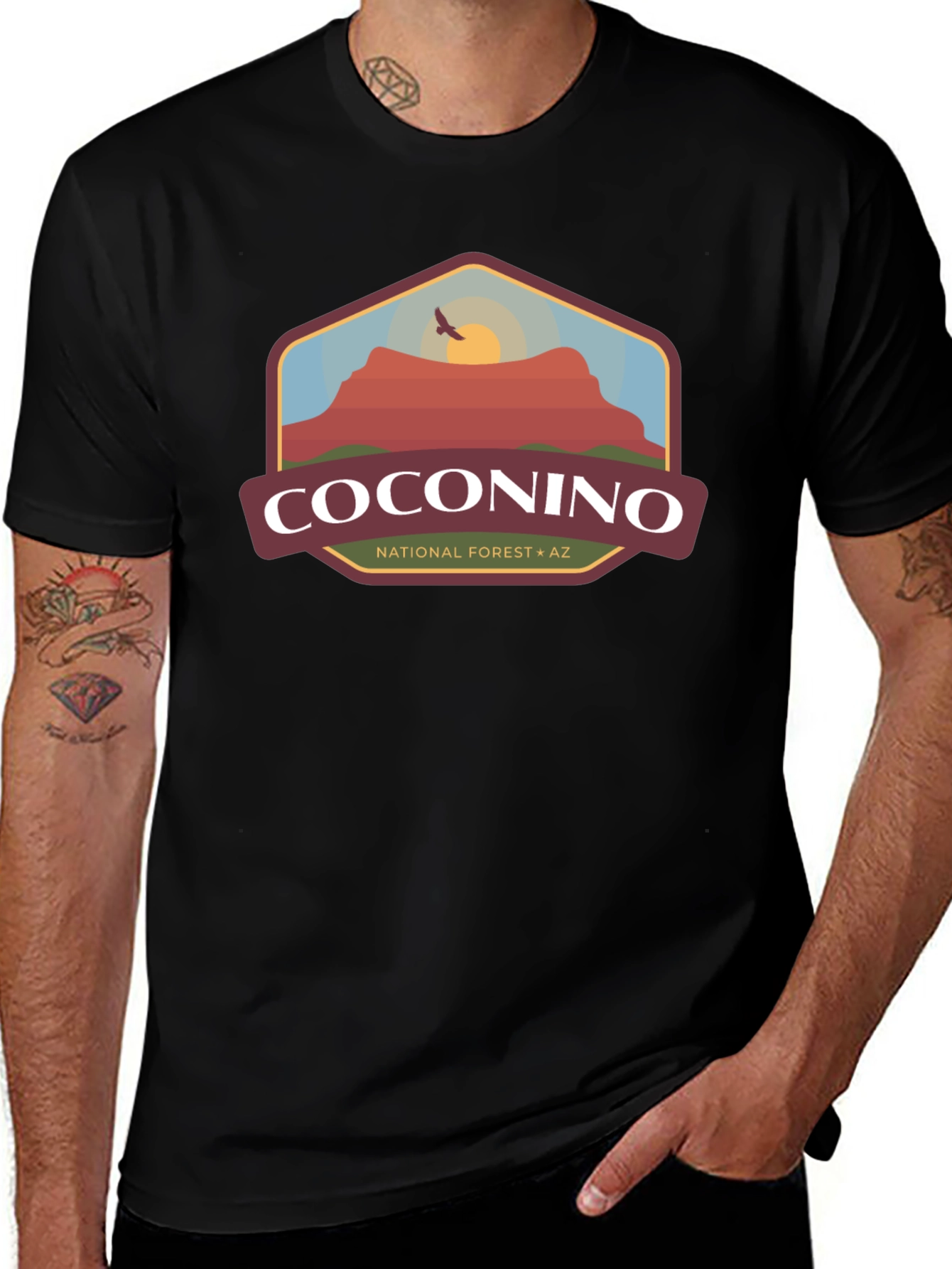 Coconino National Forest Graphic Tee