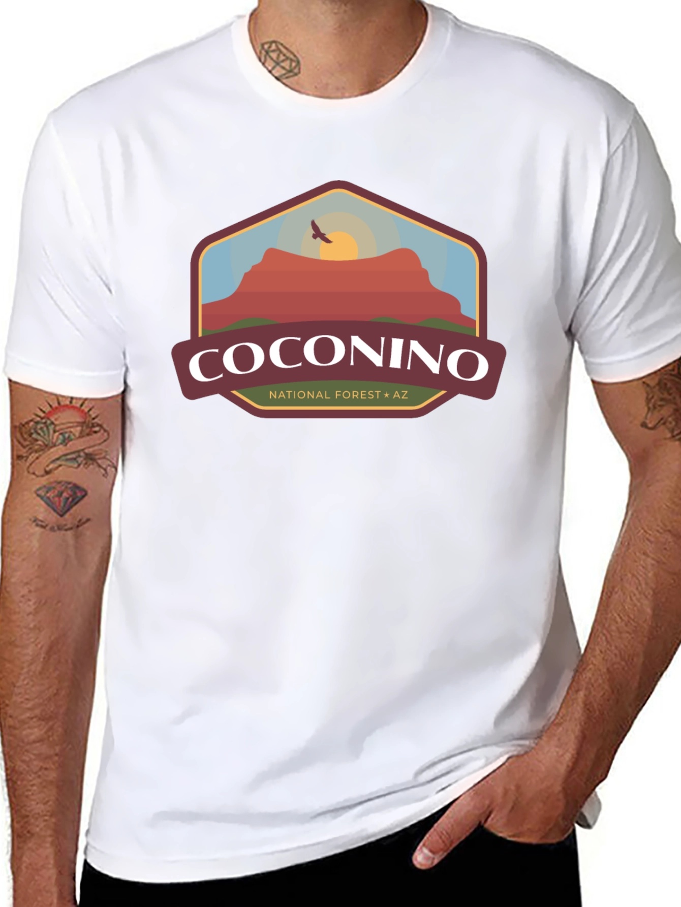 Coconino National Forest Graphic Tee