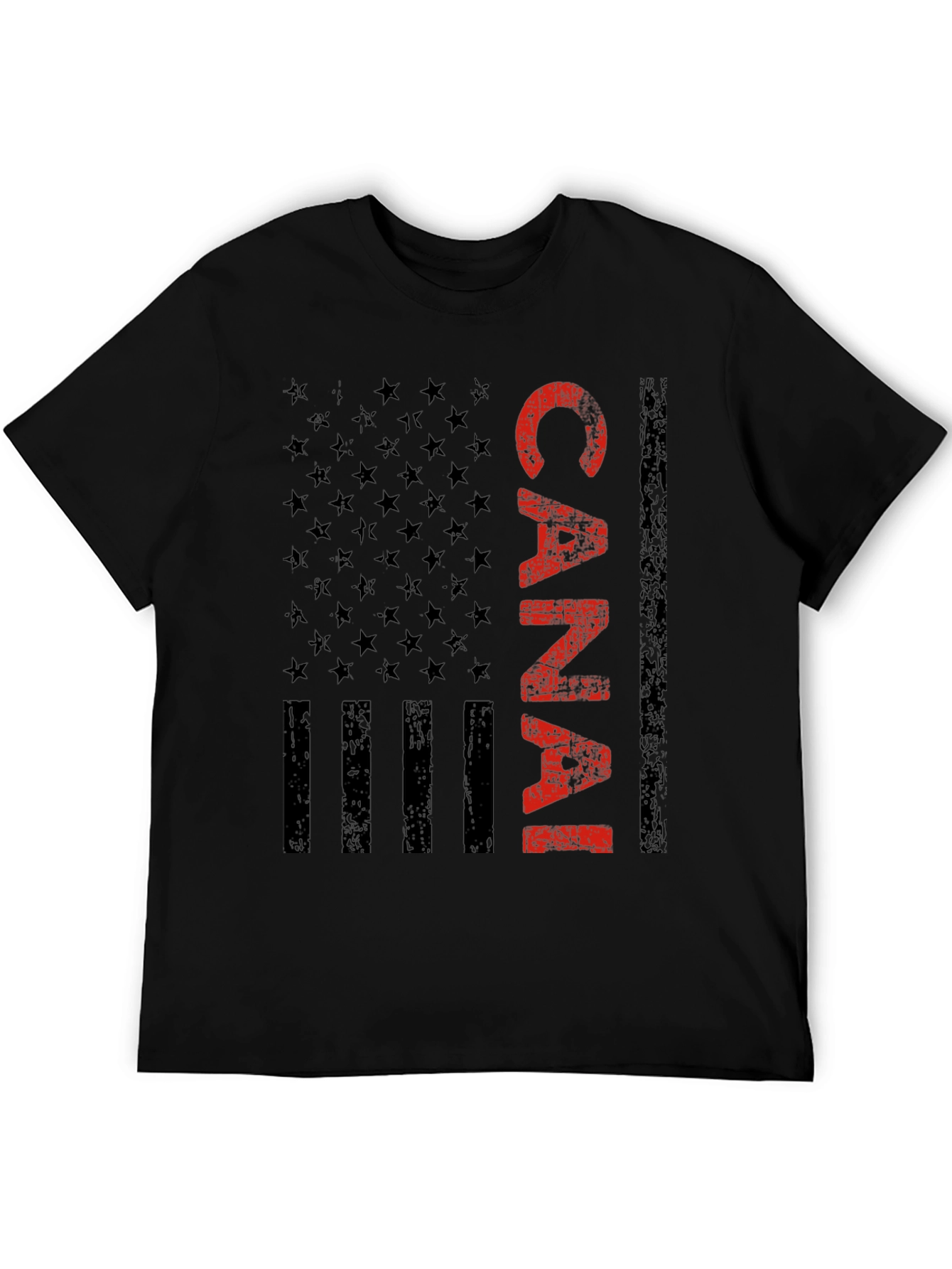 Canal Zone American Flag Graphic Tee