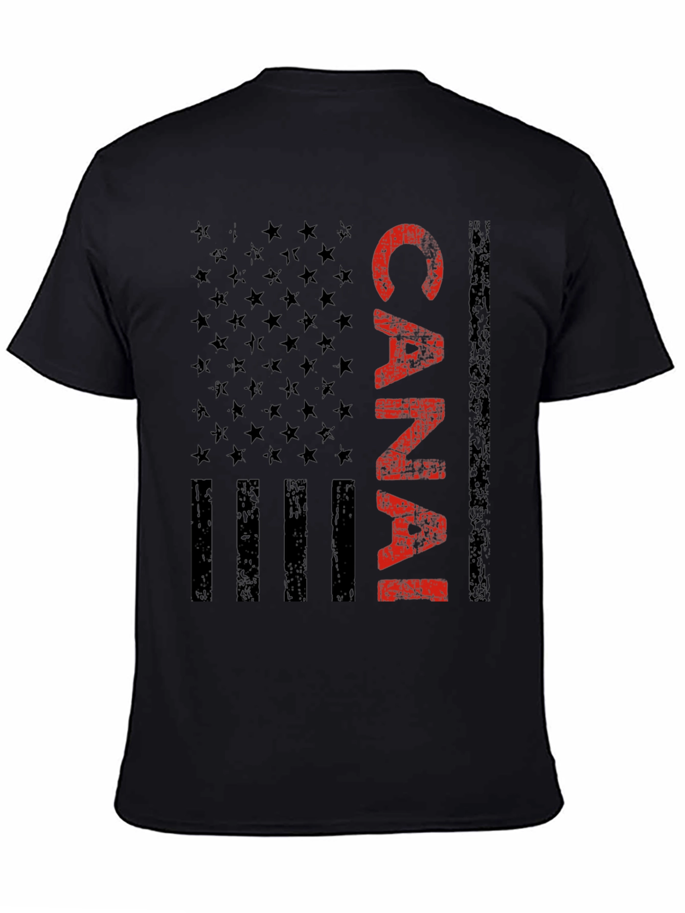 Canal Zone American Flag Graphic Tee