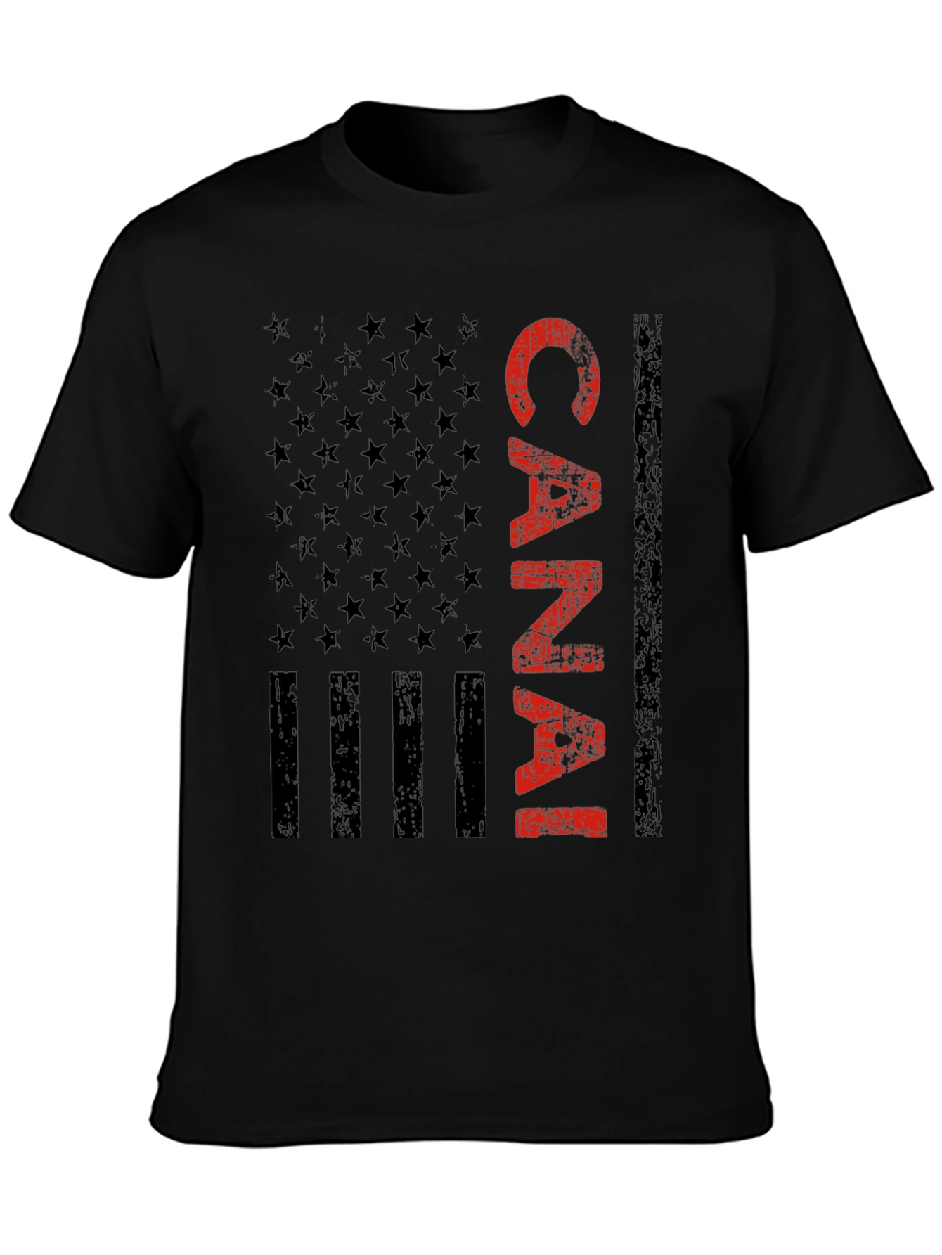 Canal Zone American Flag Graphic Tee