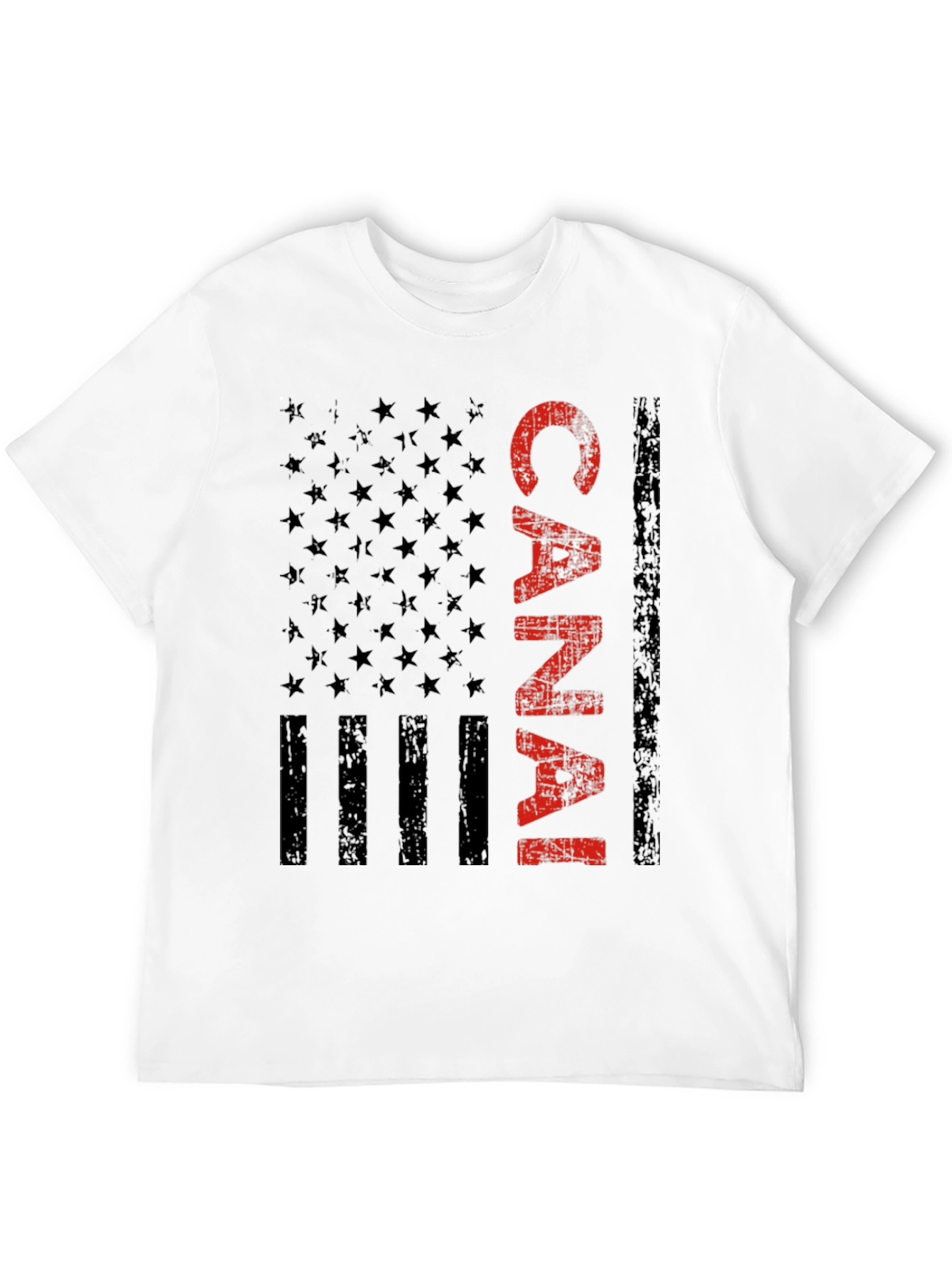 Canal Zone American Flag Graphic Tee